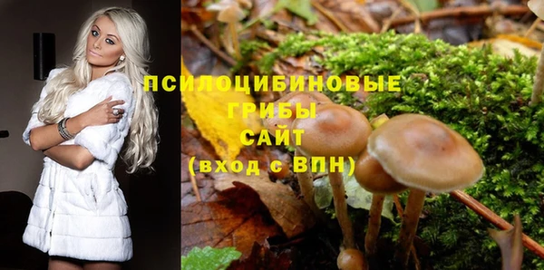 скорость Пестово