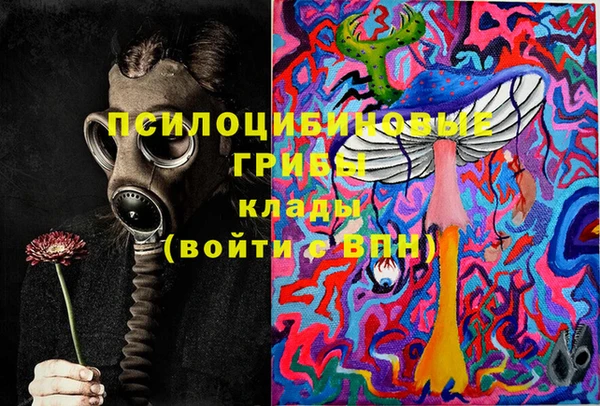 скорость Пестово