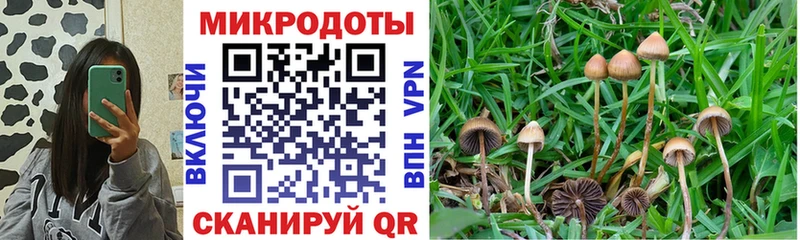 Псилоцибиновые грибы ЛСД  MEGA вход  Петровск 