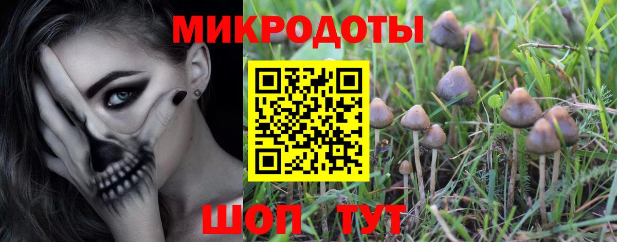 Галлюциногенные грибы Magic Shrooms Петровск