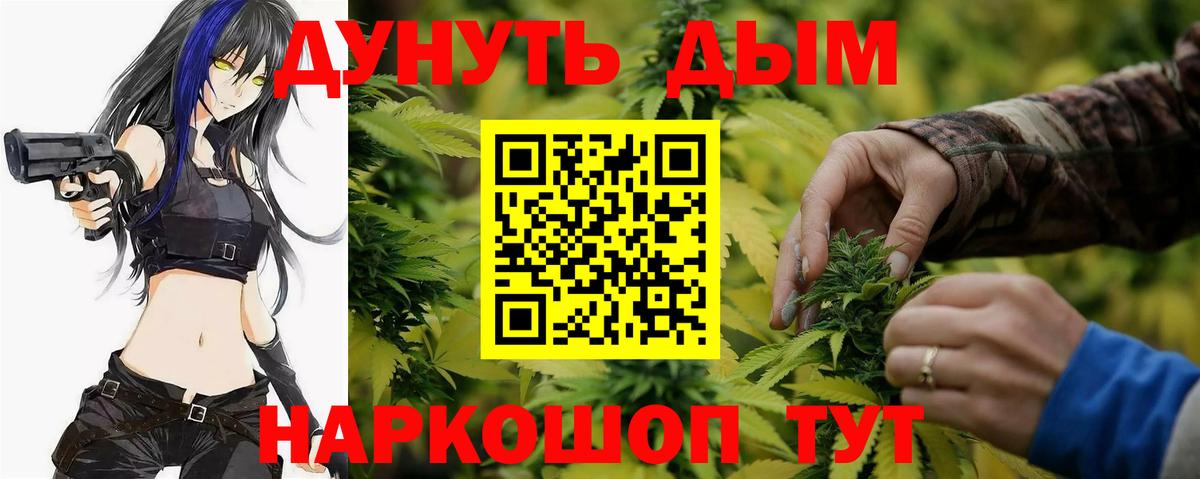 Конопля сатива Петровск